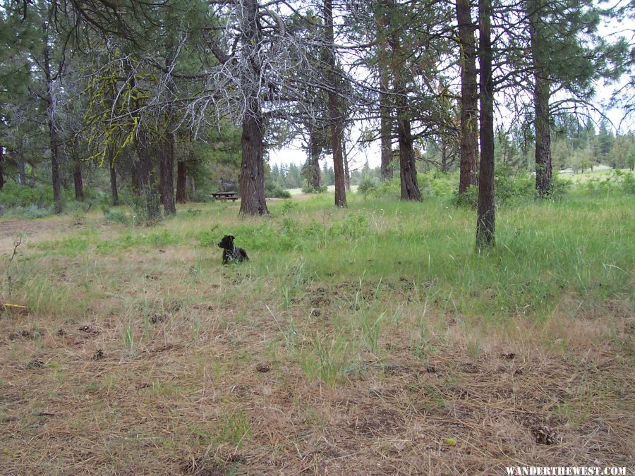 Res. F Modoc NF-Photo taken in June 2016-not in 05