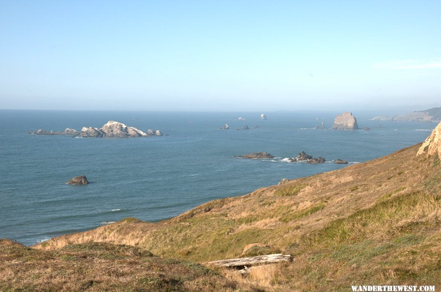 Rocky bay, looking north from Cape Blanco