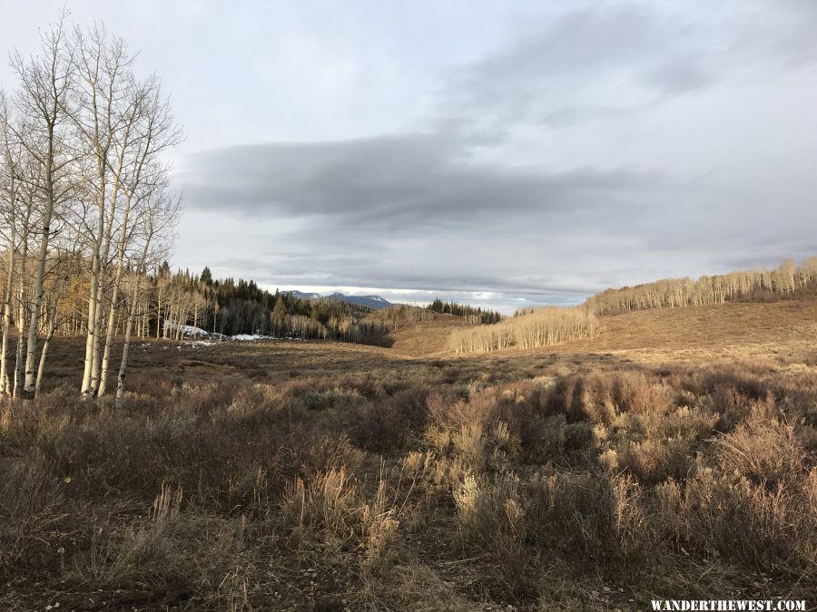 Saddle Mountain - Routt Forest