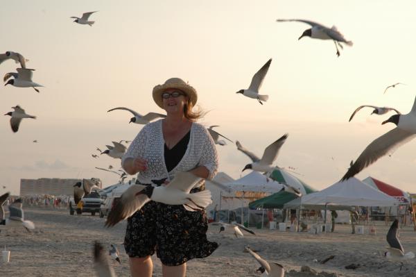 Sea Gulls