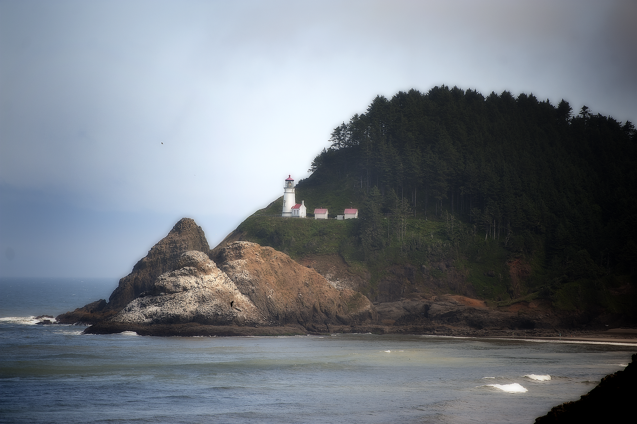 Sea Lion Caves