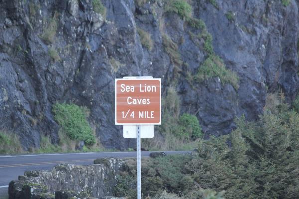 Sea Lions Caves