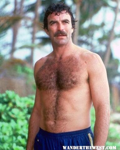 Selleck