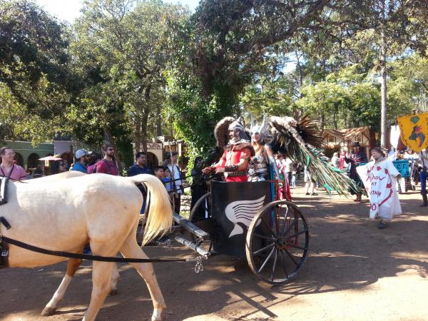 Sherwood Forest FAire 2015