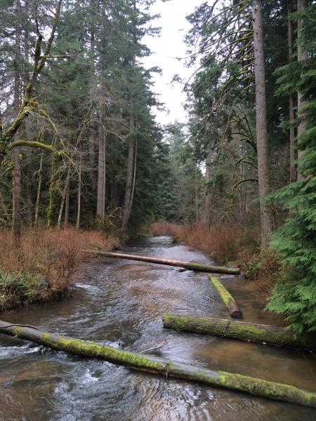 Silver Falls SP, OR