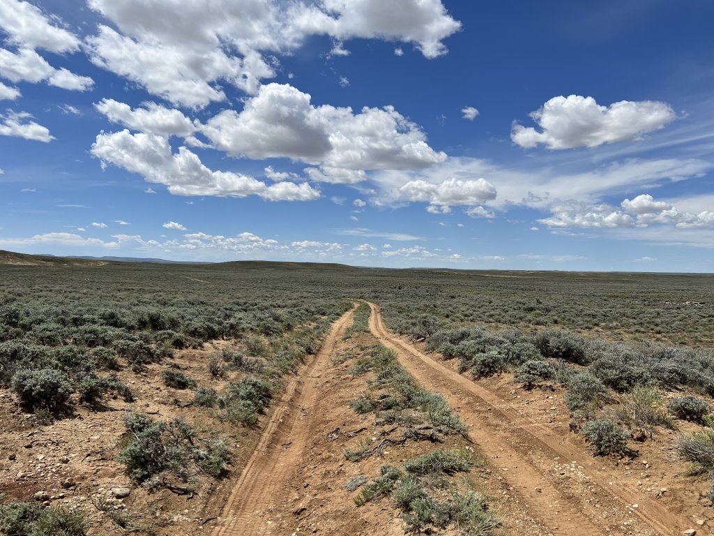 Single track red dirt road