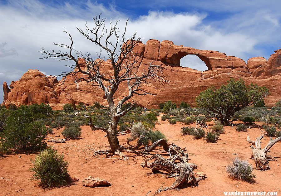 Skyline Arch