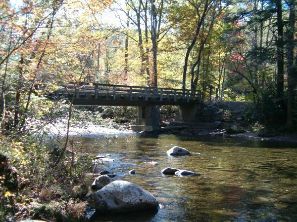 Smoky mountain creek & bridge