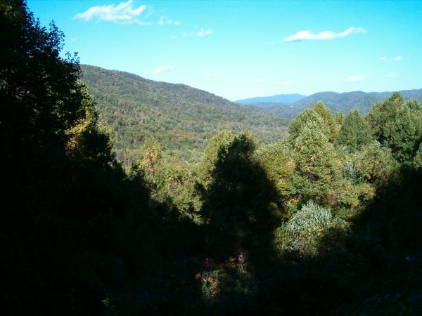 Smoky Mountains
A Hint of Fall!