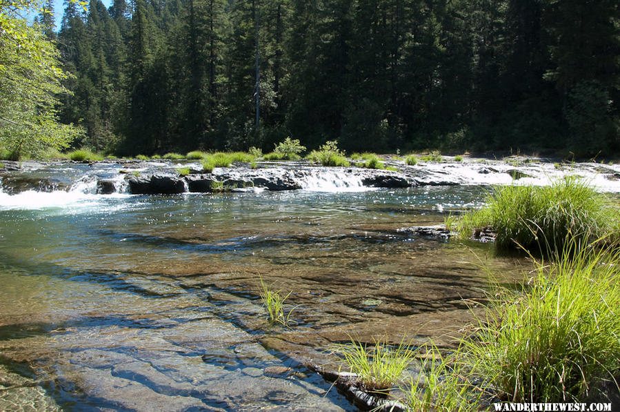 Steamboat Creek - Umpqua National Forest