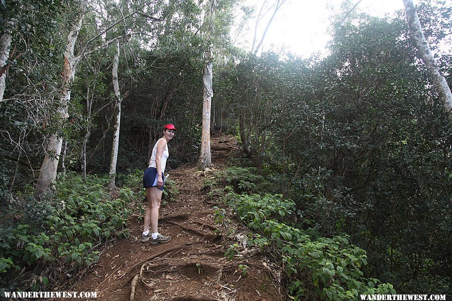 Steep Climb - Hanalei Okolehao Trail