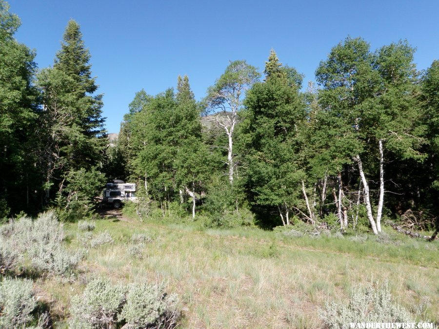 Strawberry Cr Camp -- Great Basin NP