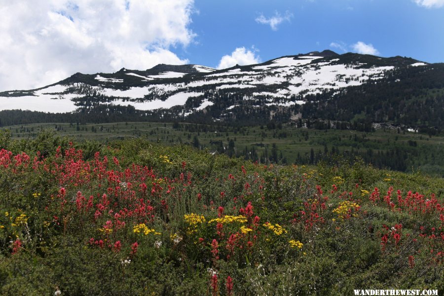 Summers Meadows in Bridge Port CA