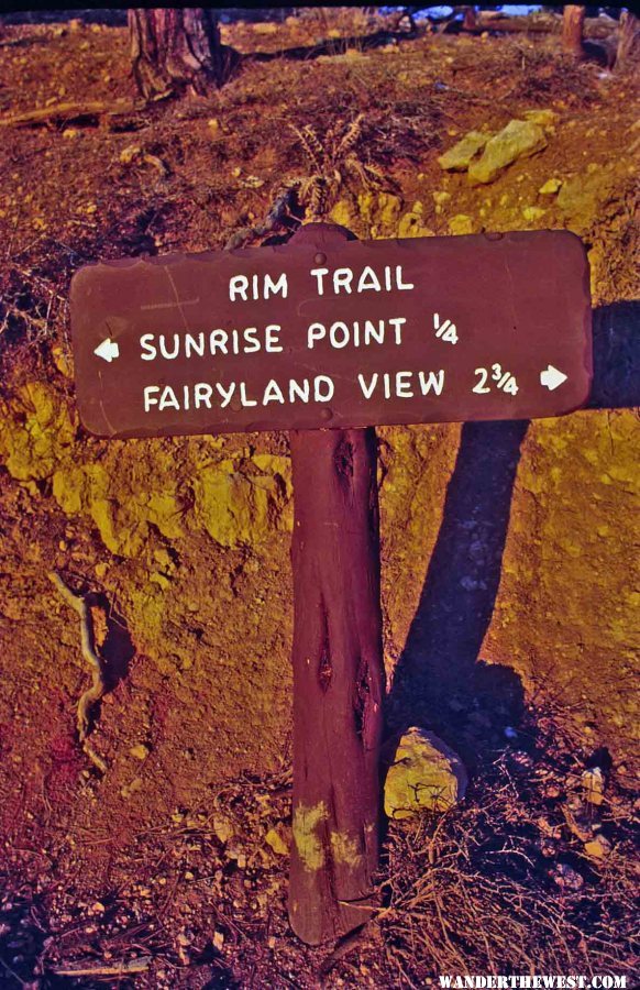 Sunrise at the Bryce Rim:  Which way to go?