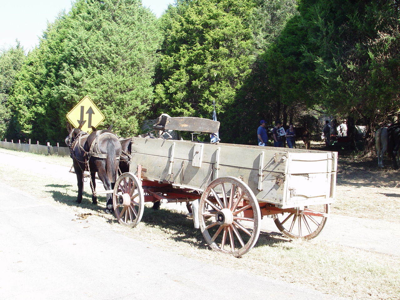 SUV 1860's style - Stones River