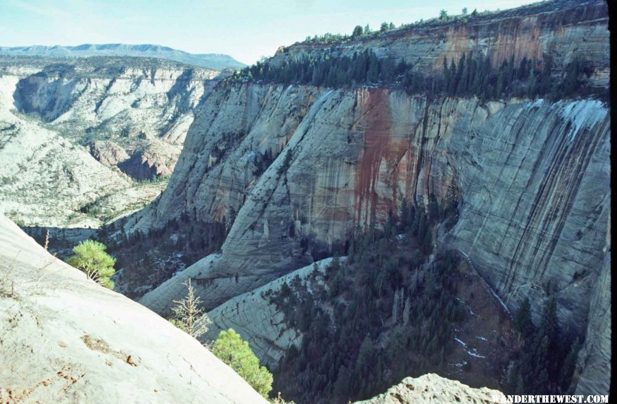 Telephone Canyon from the West Rim Trail