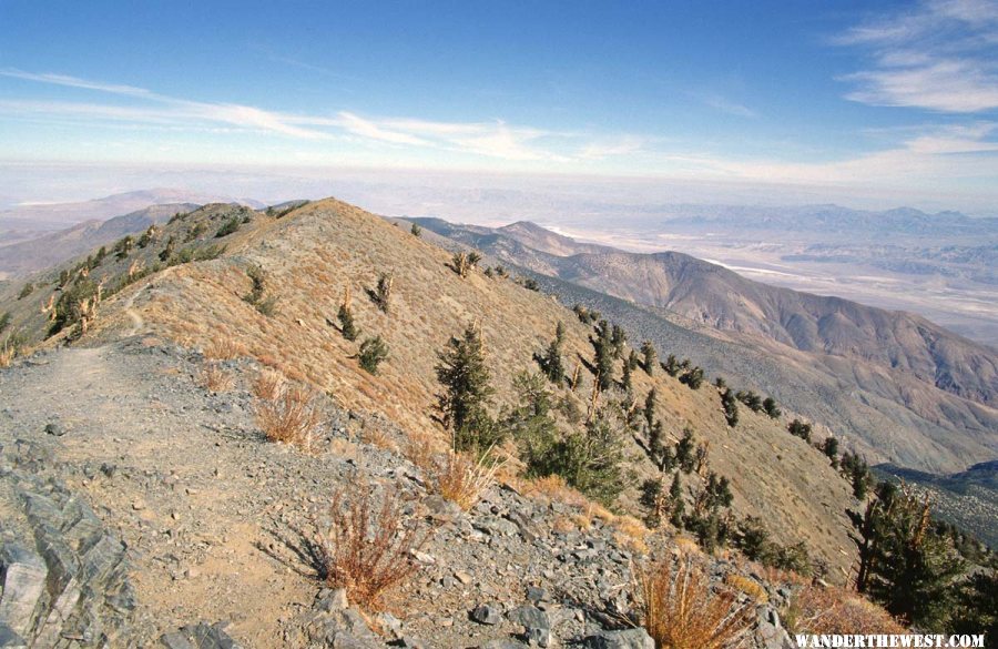 Telescope Peak Trail near the Summit