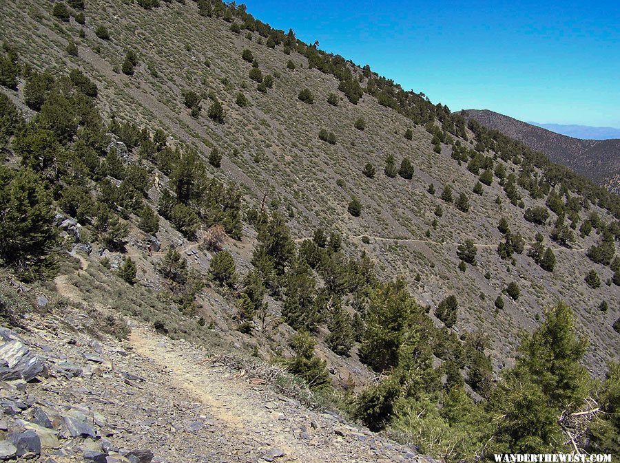 Telescope Peak Trail