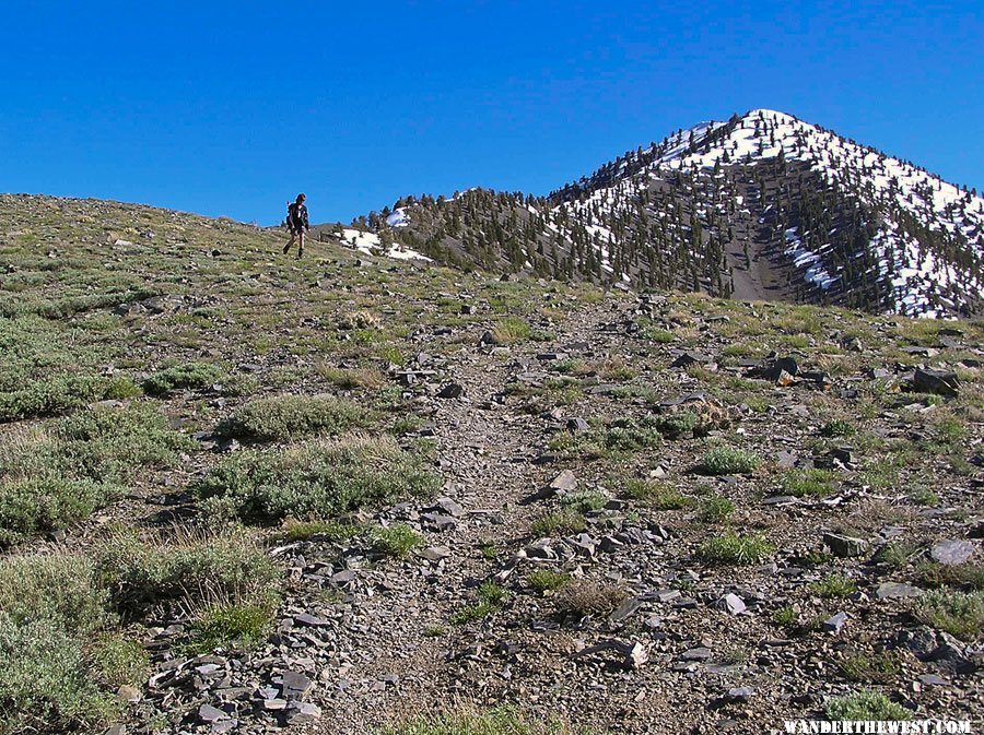 Telescope Peak