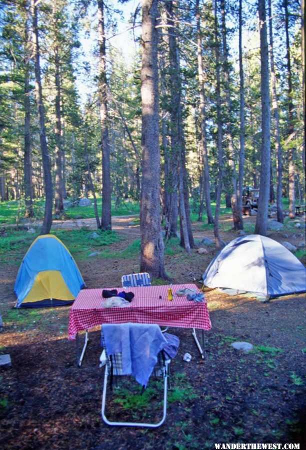 Tents in Tuolumne Meadows Campground