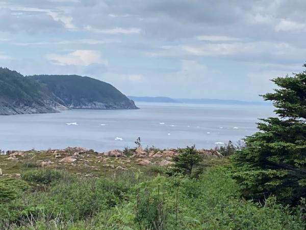 The big icebergs breakup when they get grounded leaving lots of “baby” berg bits. They are actually much larger than they appear in a photograph.