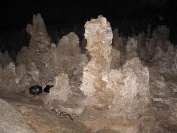 The big room Carlsbad Cavern