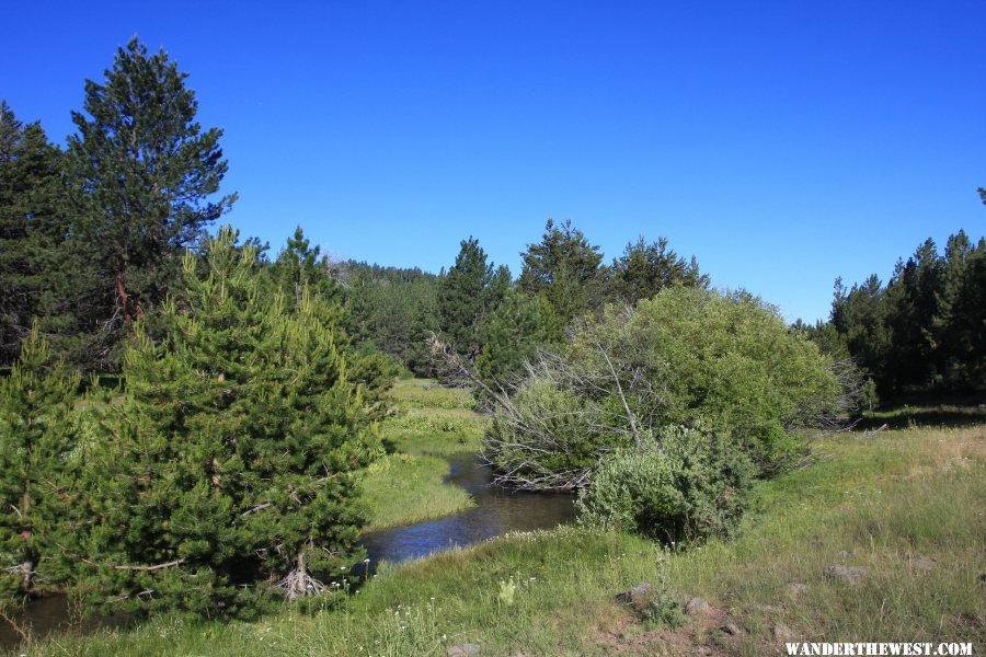 The Creek Running Through Camp