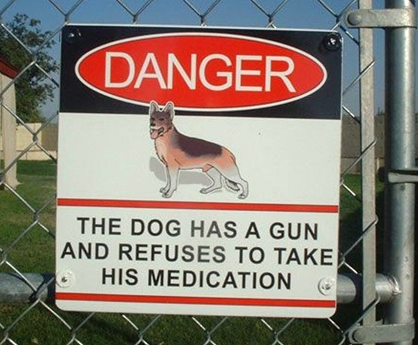 the dog has a gun