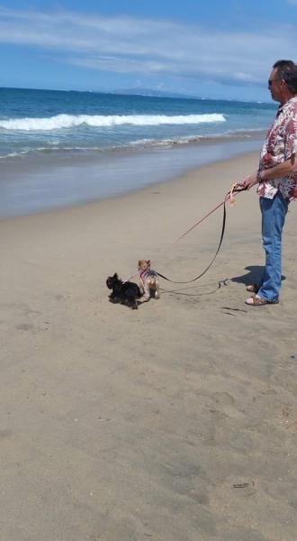 The girls at the Beach