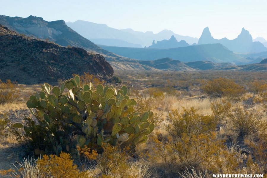 The Mule Ears