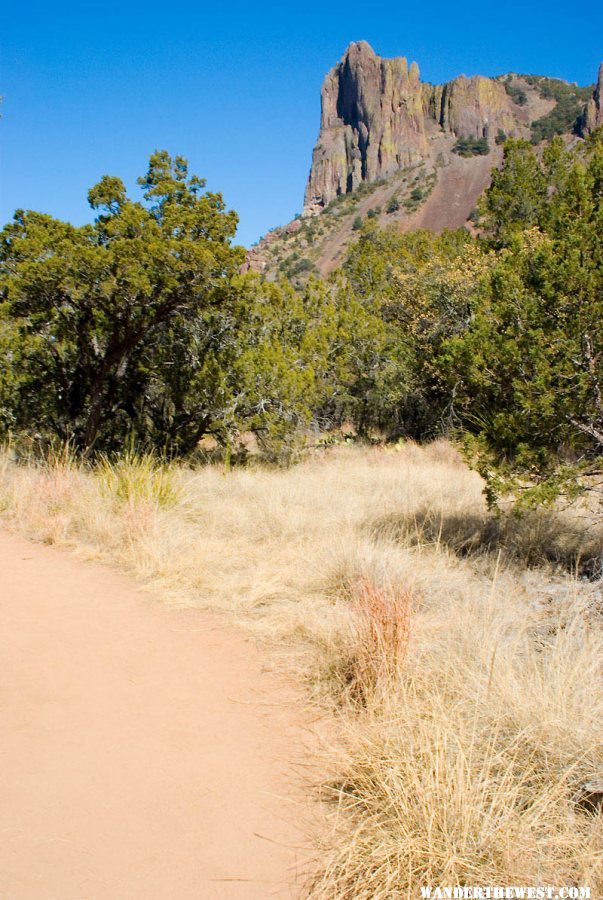 The Pinnacles Trail below Emory Peak Trail