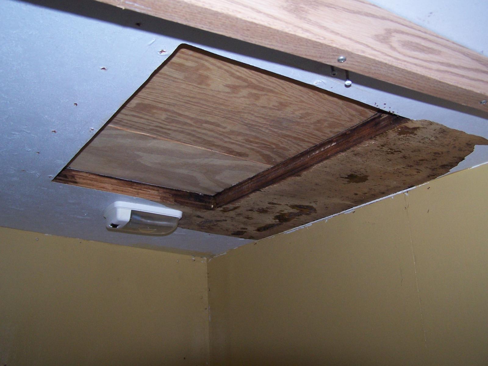 The skylight over the bath had to come out -- replaced outer & remodeling inner to save some $$