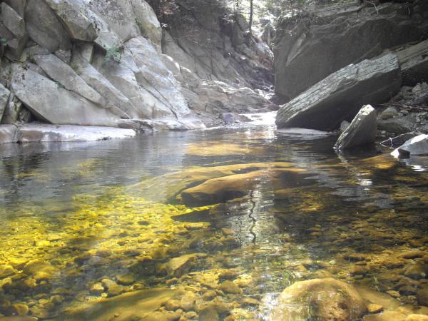 The stream at our campsite SOooo clear