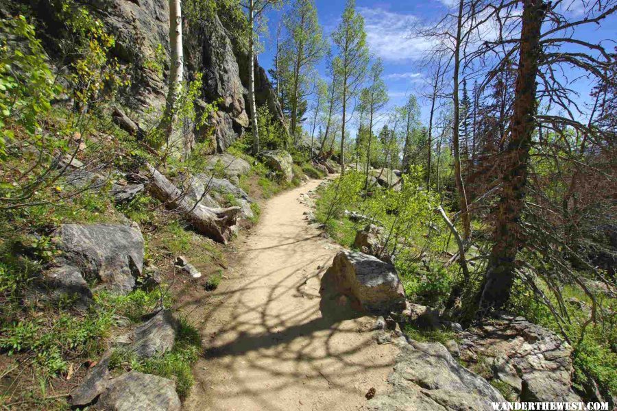 The Trail to Emerald Lake