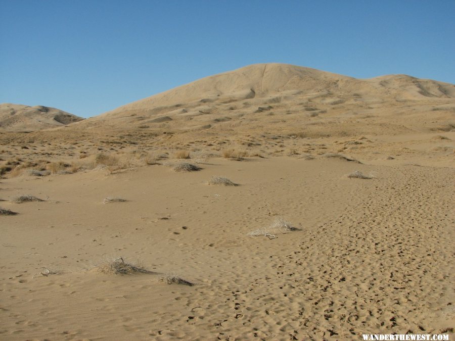 The trail up the dunes.