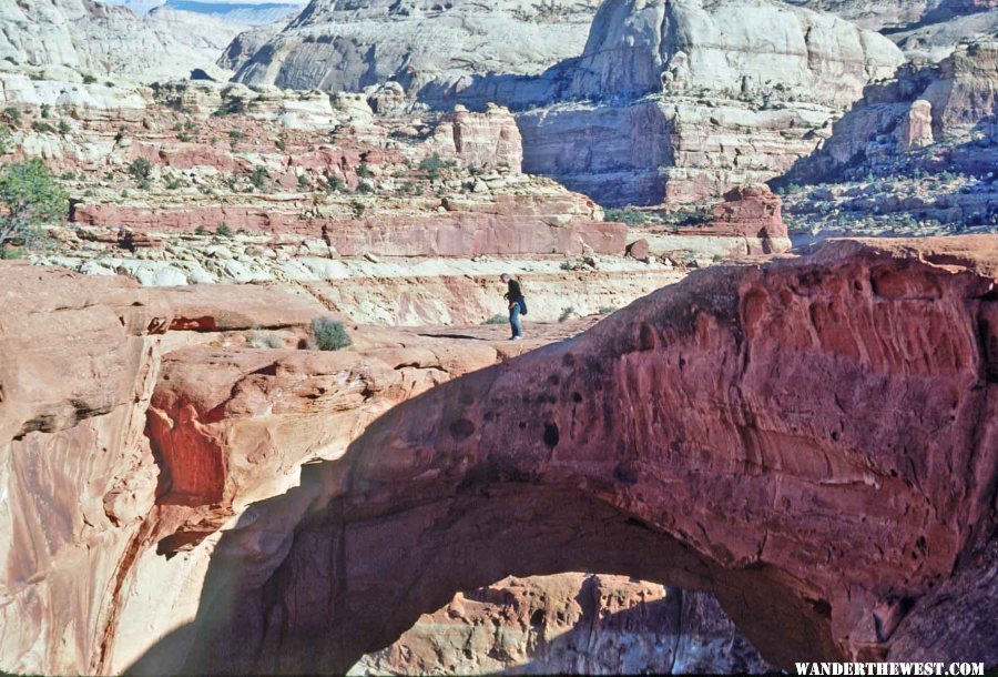 The view at Cassidy Arch