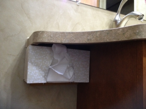 There is VERY little room on the counter of the 29RE so we did some magic in locating the tissue box under the counter.