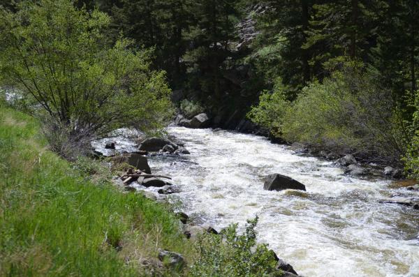 This is the creek below the spillway coming out of Nederland