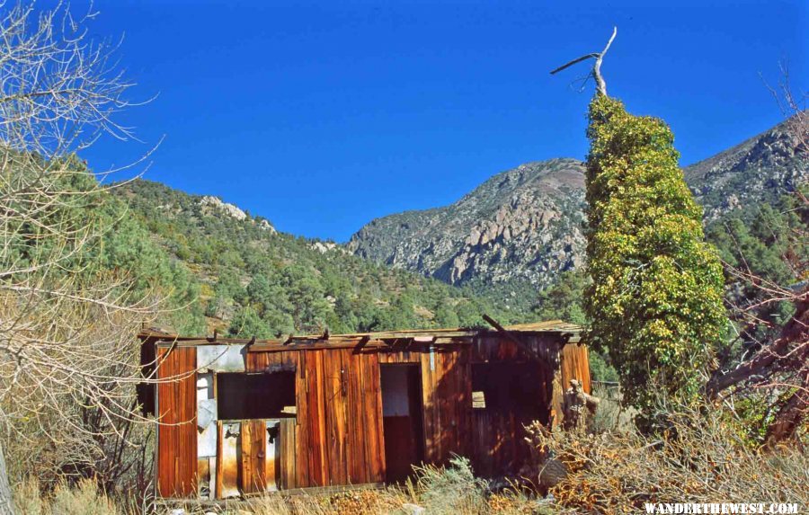 Thompson Camp in Upper Surprise Canyon