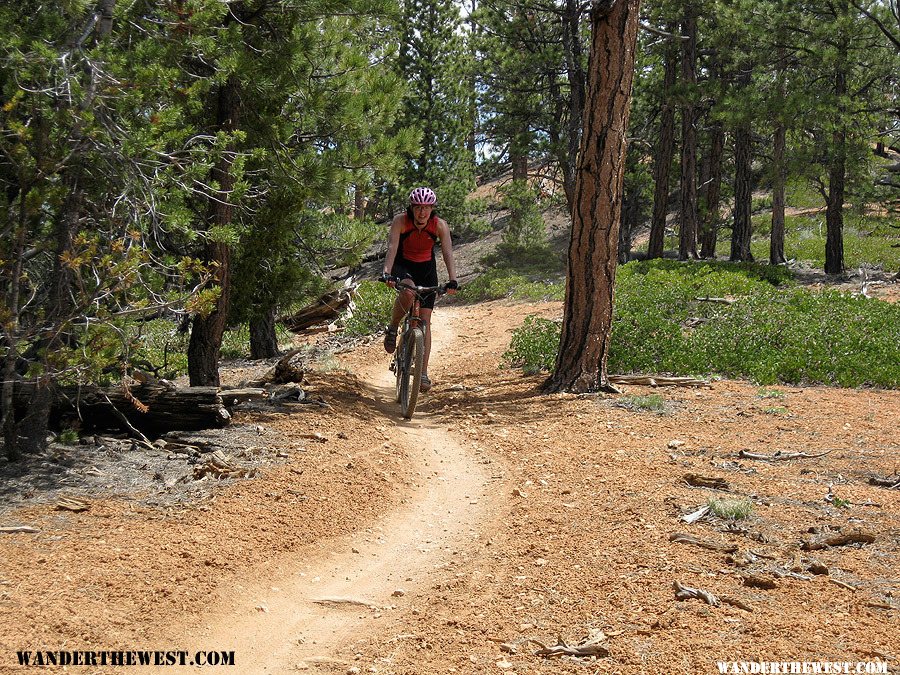 Thunder Mountain Trail