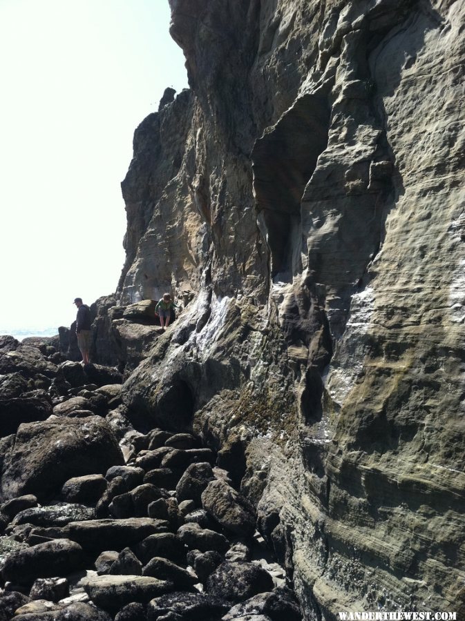 Tidepooling at Otter Rock