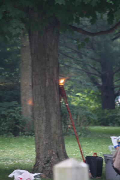 To prevent a forest fire, I jumped up to go explain fire safety to my neighbor only to see it was a tiki torch 20' behind the tree (and an unlit one l