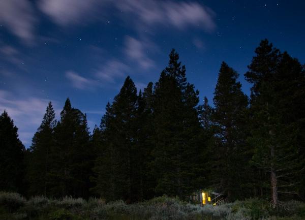 Toiyabe Natl. Forest, Calif., June 30, 2015