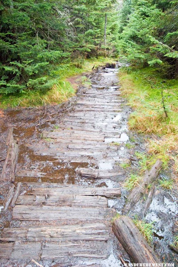 Trail on Mt Marcy, NY