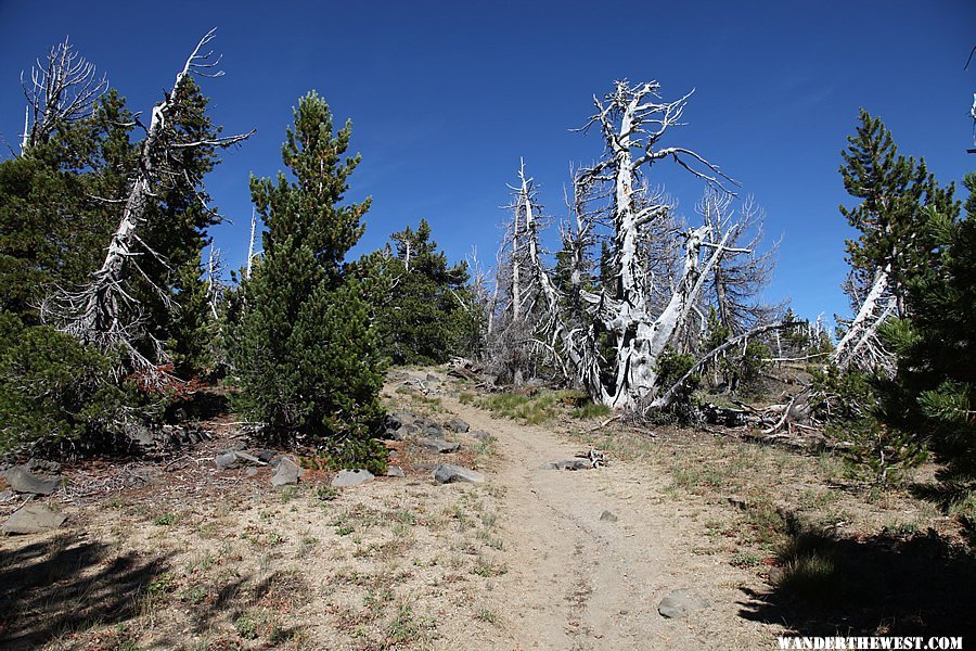 Tumalo Mountain Trail