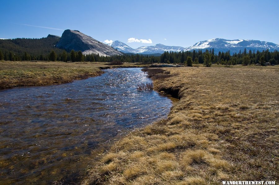 Tuolumne Meadows