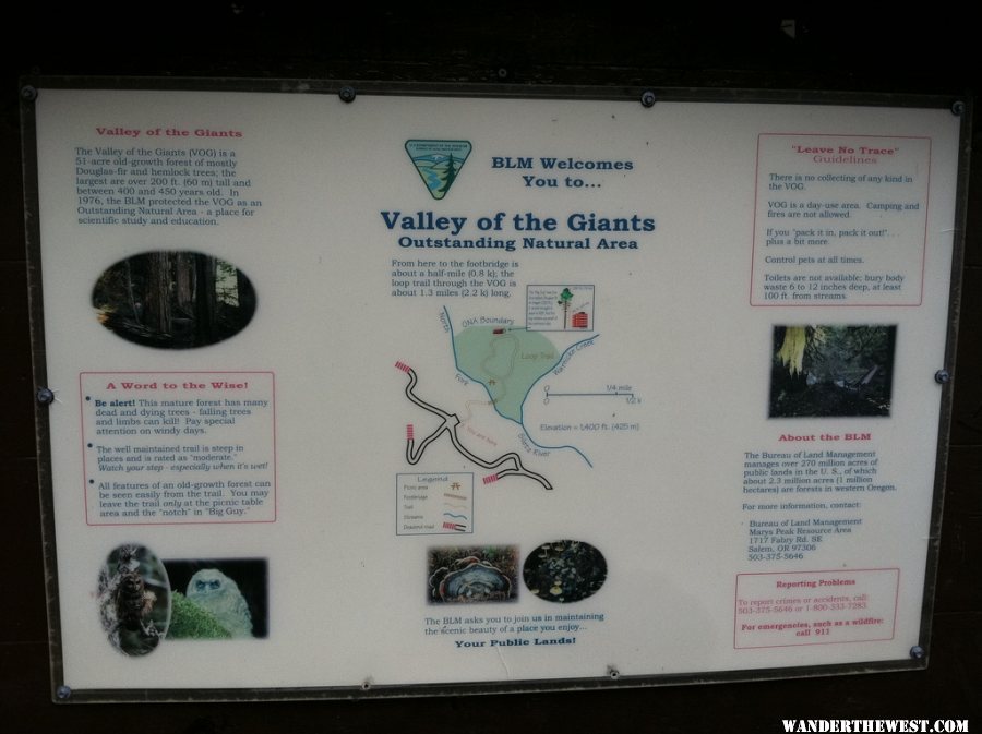 Valley of the Giants