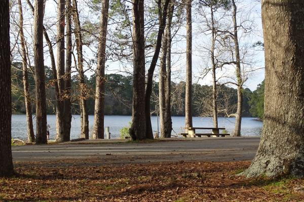 View from our campsite.