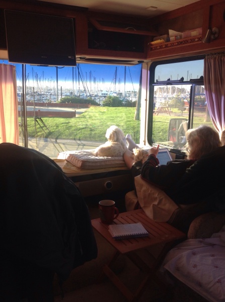 View of Chula Vista Marina out the front window of our Georgetown Feb 2014