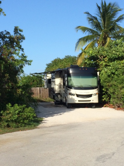 View of site! Nice private and wonderful campground host and park rangers. When I told them I didn't bring a toad, they said if I needed to go somewhe